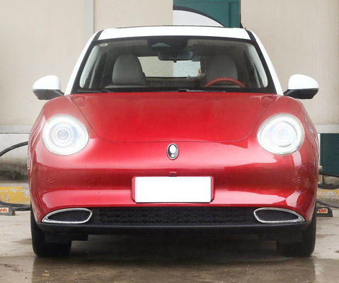 Lange gute schnelle Aufladung Driving-Range Gwm ORA Katzen-401-501KM