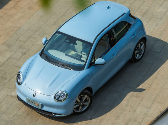 Lange gute schnelle Aufladung Driving-Range Gwm ORA Katzen-401-501KM