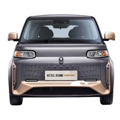 ORA weißes Cat Great Wall Motor EV 305-401KM reines elektrisches mit 5 Türen 4 Sitze
