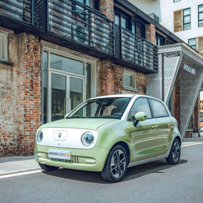 301KM-405KM Gw ORA Sitzbatterie LFP Schwarz-Cat Electric Vehicles 5 Tür-4