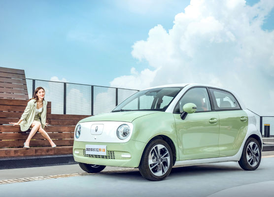 301KM-405KM Gw ORA Sitzbatterie LFP Schwarz-Cat Electric Vehicles 5 Tür-4
