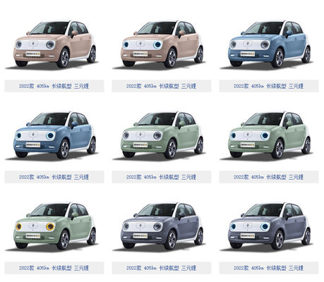 301KM-405KM Gw ORA Sitzbatterie LFP Schwarz-Cat Electric Vehicles 5 Tür-4